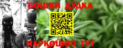 сатива Кулебаки