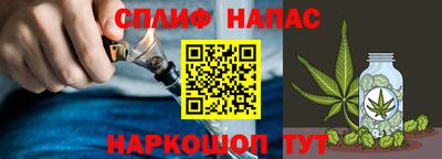 сатива Кулебаки