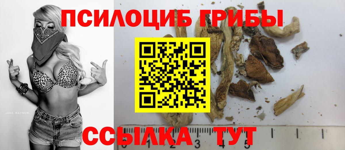 Галлюциногенные грибы MAGIC MUSHROOMS  Вход с VPN  купить  сайты  Вичуга 