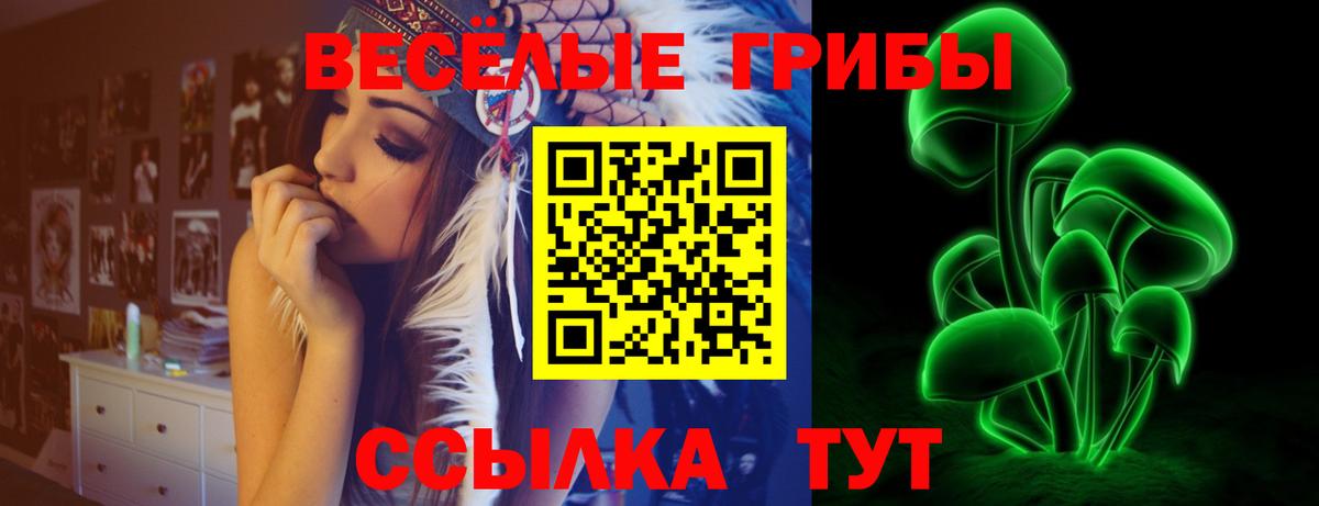 Галлюциногенные грибы Cubensis Вичуга